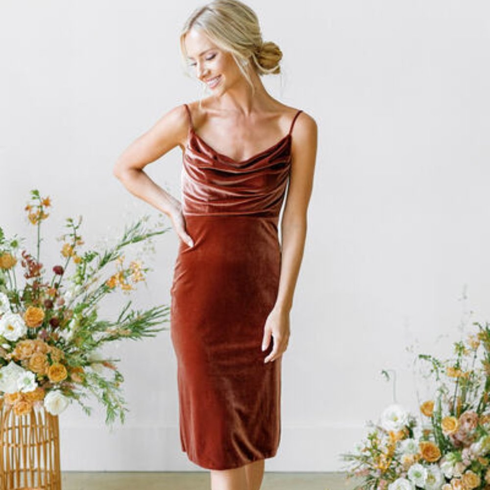 Revelry Skye Midi Velvet Dress in Terracotta